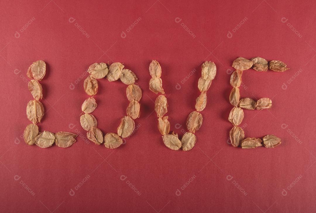 Fundo do Dia dos Namorados com pétalas de bougainville formando