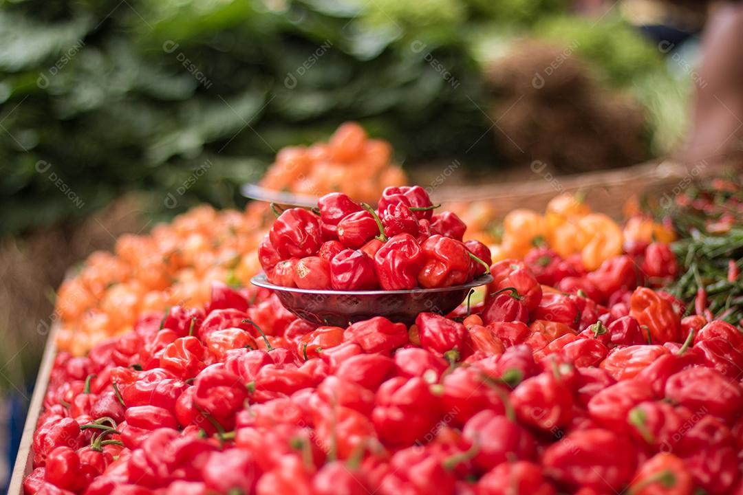 pilha de pimentas à venda em uma feira popular