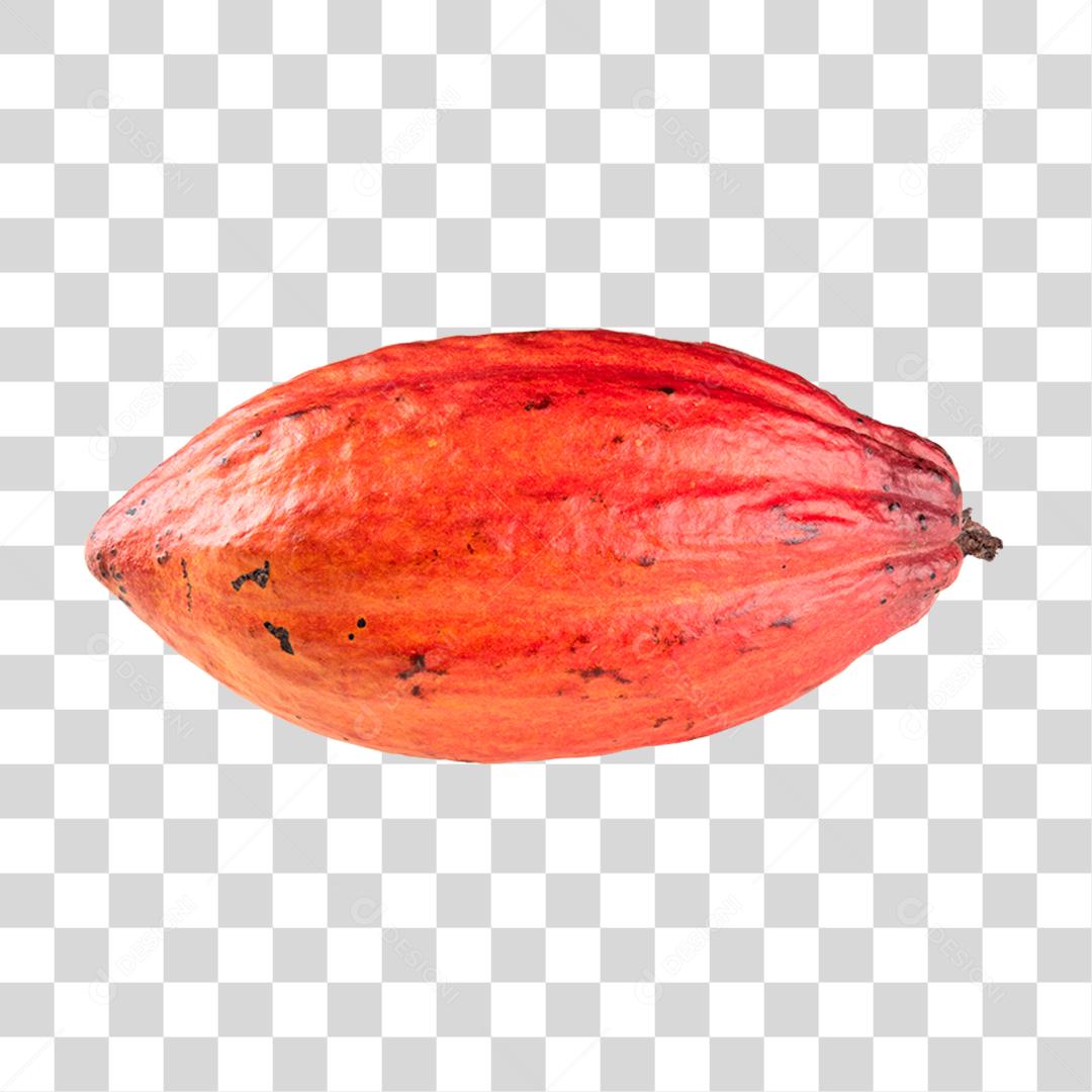 Cacau fruta brasileira PNG Transparente