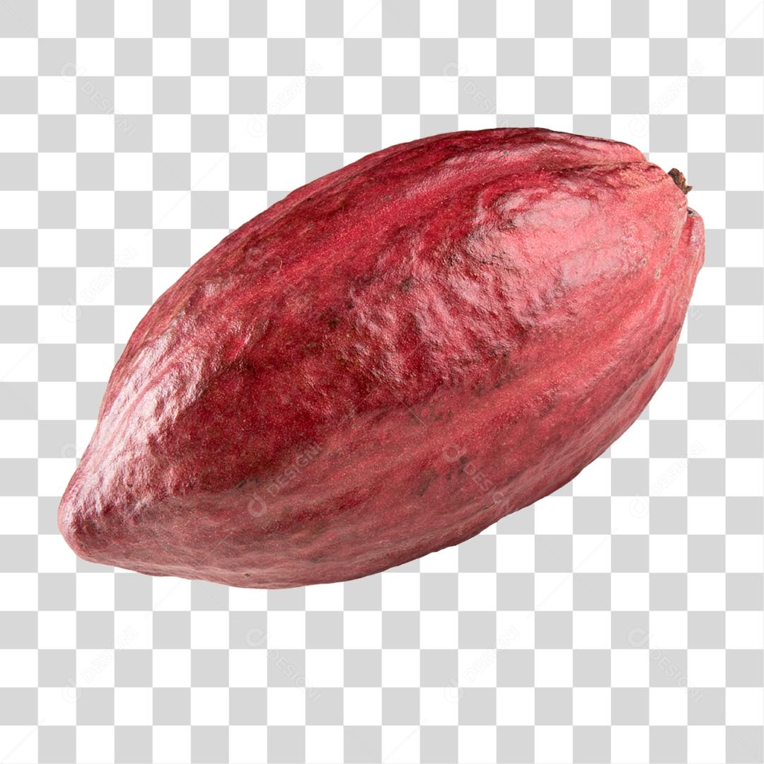 Cacau fruta brasileira PNG Transparente