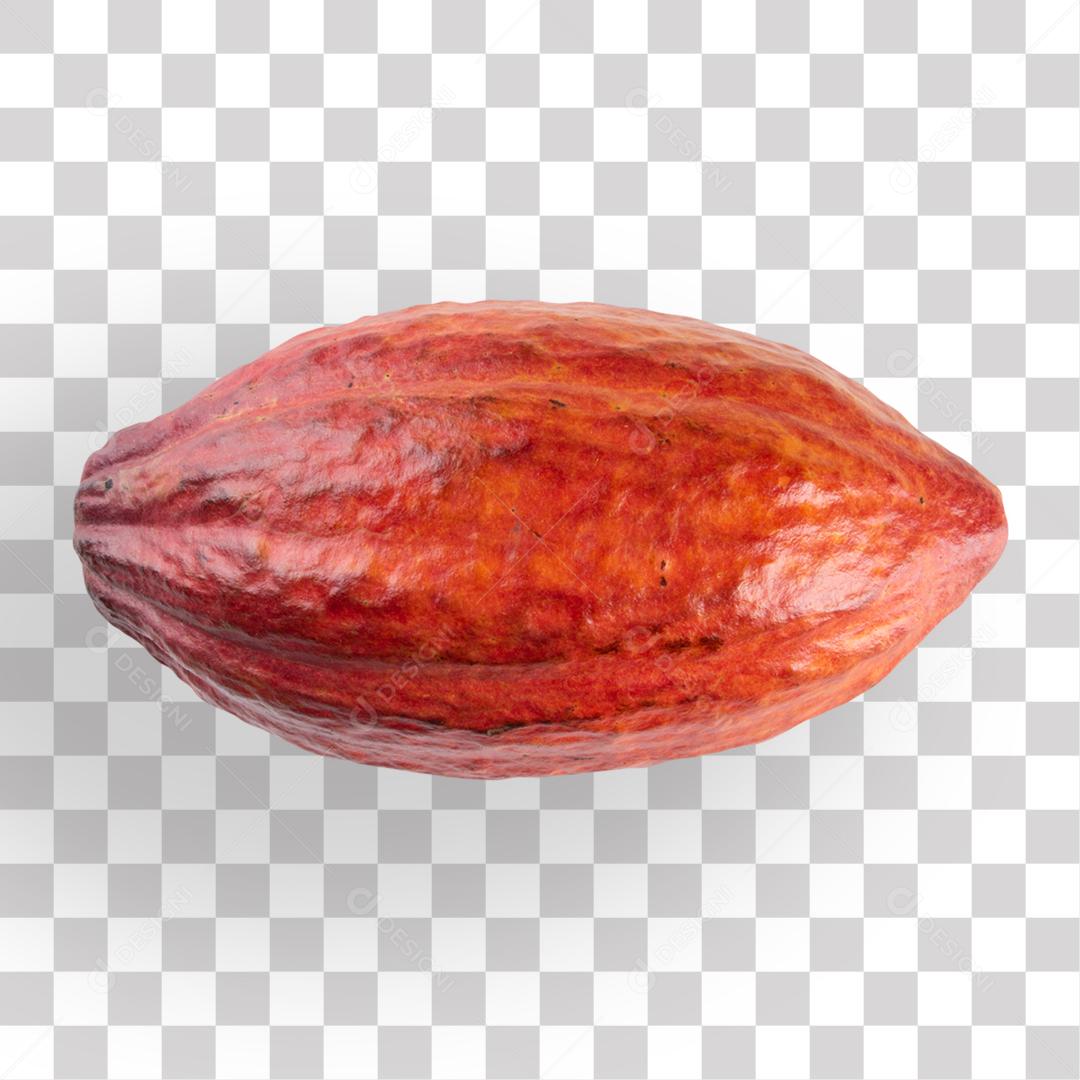 Fruta Cacau Maduro PNG Transparente