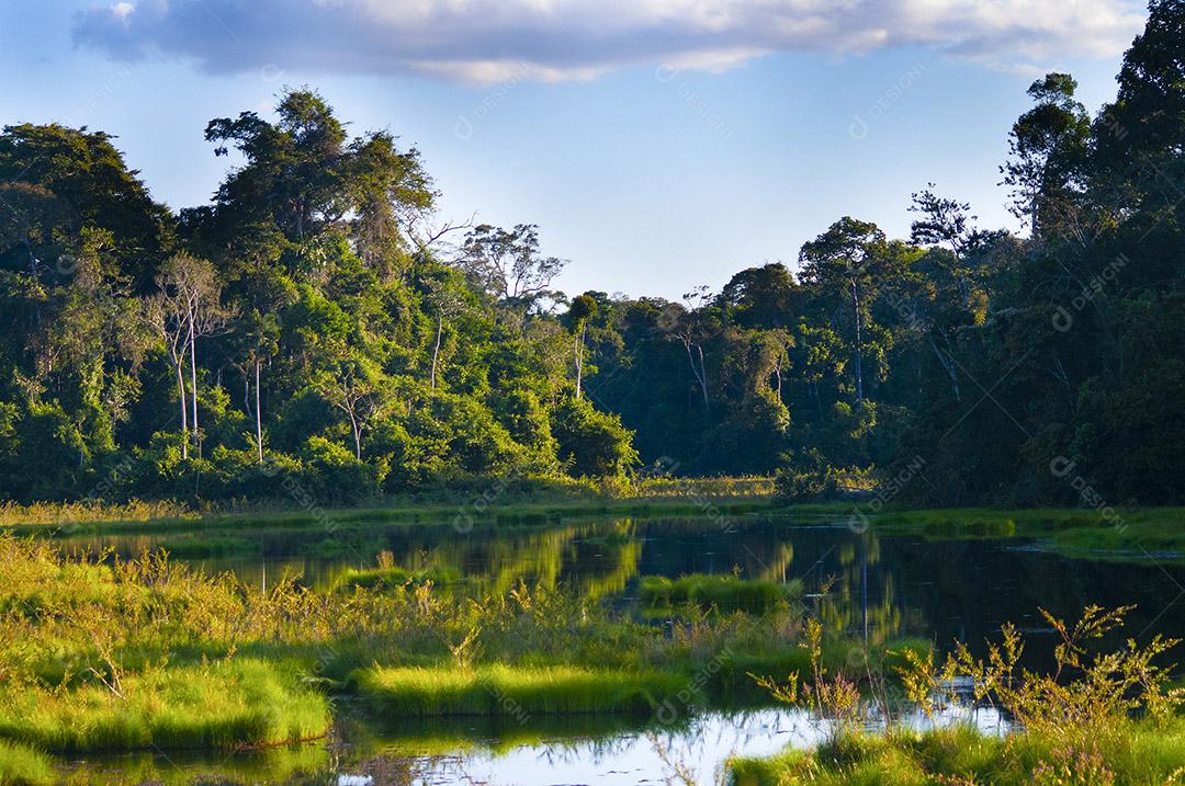 Lago no meio da floresta ao por do sol. Paisagem