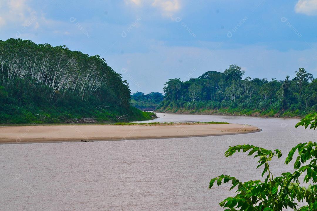 Rio cercado por floresta tropical. Paisagem