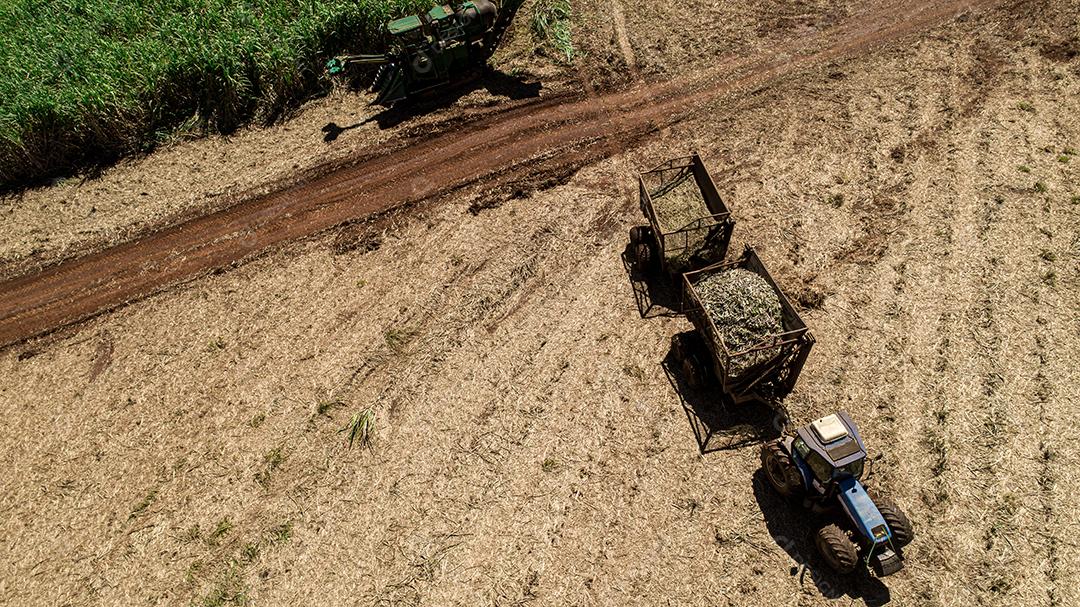 Colheita de cana-de-açúcar em dia ensolarado no Brasil. Vista aérea.