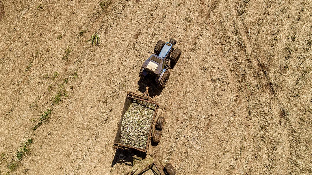 Colheita de cana-de-açúcar em dia ensolarado no Brasil. Vista aérea.