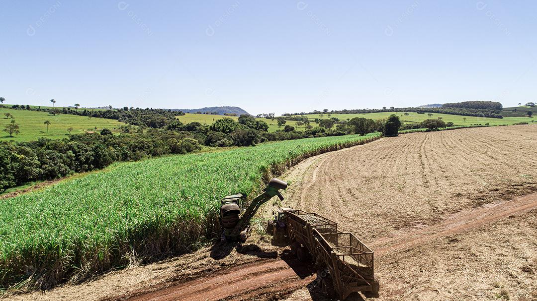 Colheita de cana-de-açúcar em dia ensolarado no Brasil. Vista aérea.