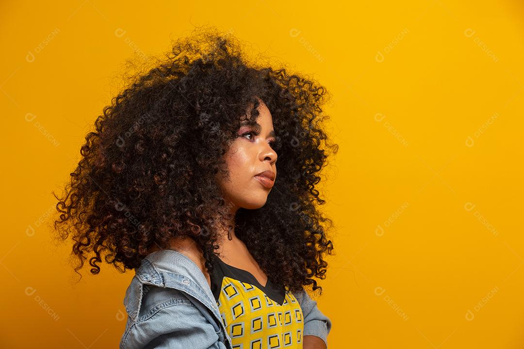 Retrato da beleza da mulher afro-americana com penteado afro e maquiagem glamour.