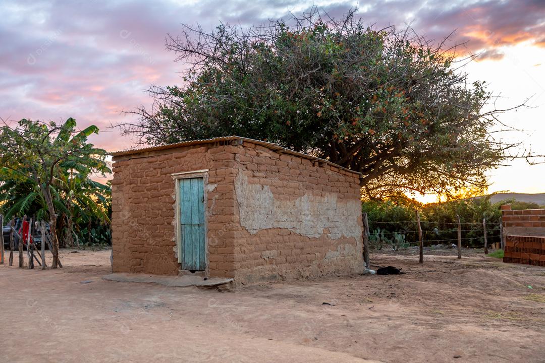 Casa de barro velha abandonada arvore