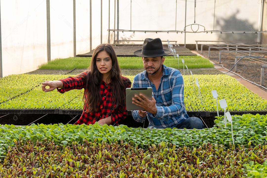 Agropecuaria vegetação plantação agricultores