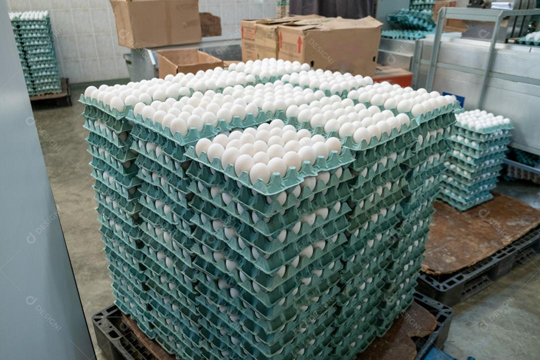 Cartelas de ovo varejo mercado atacado supermercado