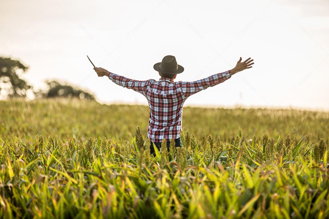 Liberdade O agricultor brasileiro fica na fazenda verde com gratidão.