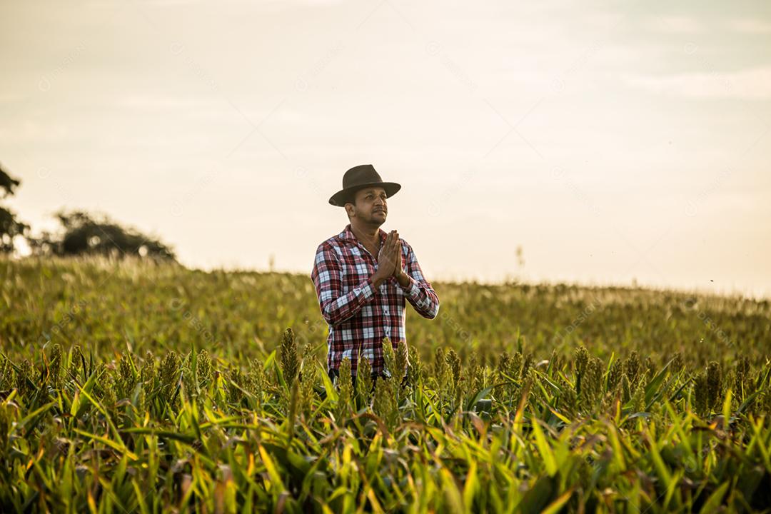 Liberdade O agricultor brasileiro fica na fazenda verde com gratidão.