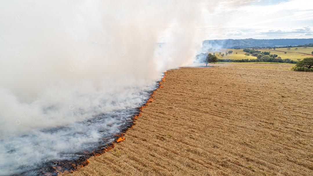 Queimaduras de grama seca, desastre natural. Vista aérea. Um grande campo queimado coberto de fuligem