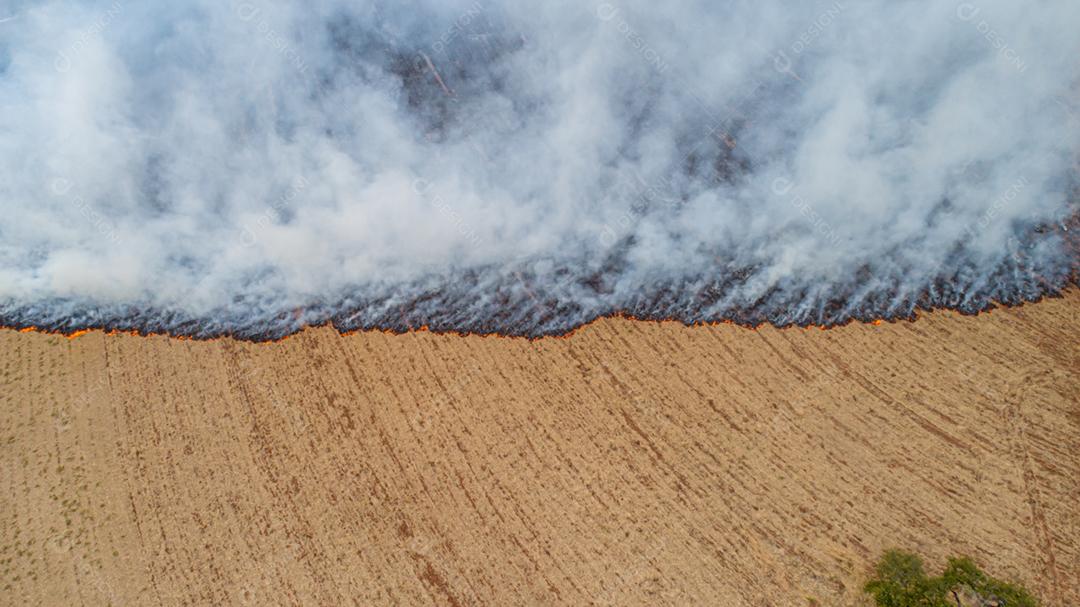 Queimaduras de grama seca, desastre natural. Vista aérea. Um grande campo queimado coberto de fuligem