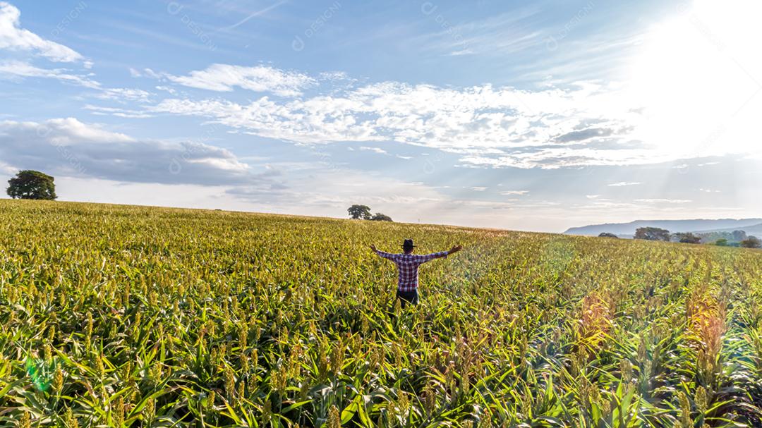 Liberdade O agricultor brasileiro fica na fazenda verde com gratidão. Vista do topo.