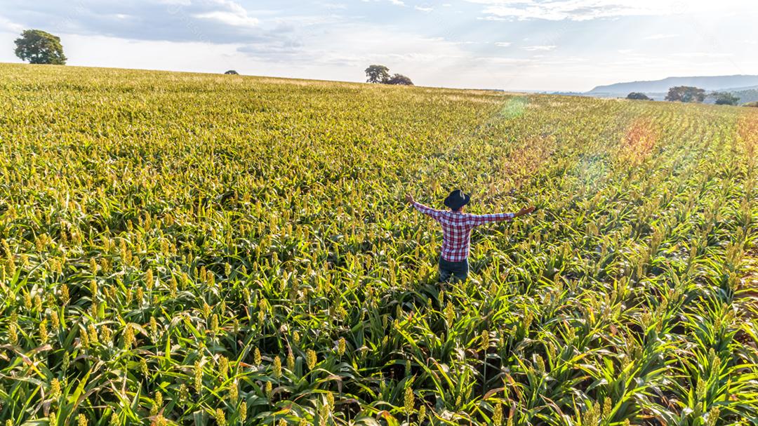 Liberdade O agricultor brasileiro fica na fazenda verde com gratidão. Vista do topo.