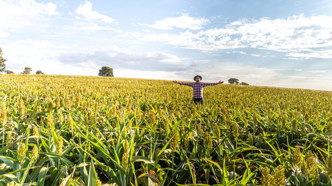 Liberdade O agricultor brasileiro fica na fazenda verde com gratidão. Vista do topo.