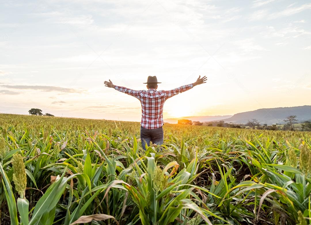 Liberdade o agricultor brasileiro fica na fazenda verde com gratidão.