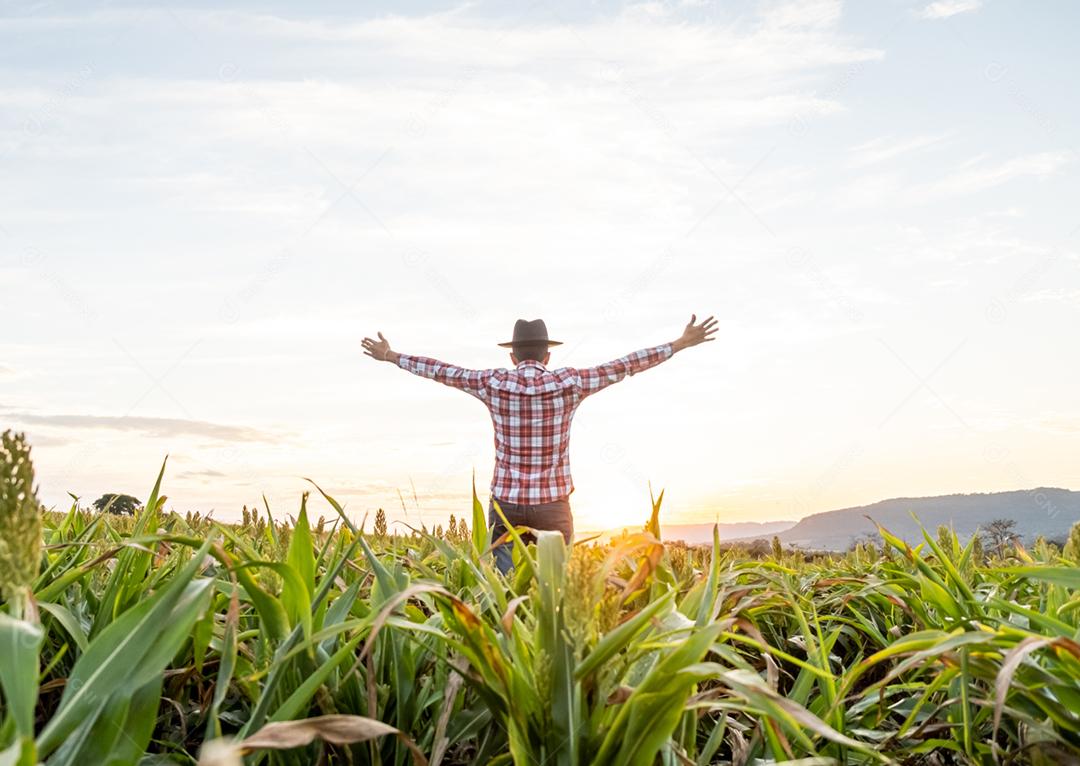 Liberdade o agricultor brasileiro fica na fazenda verde com gratidão.