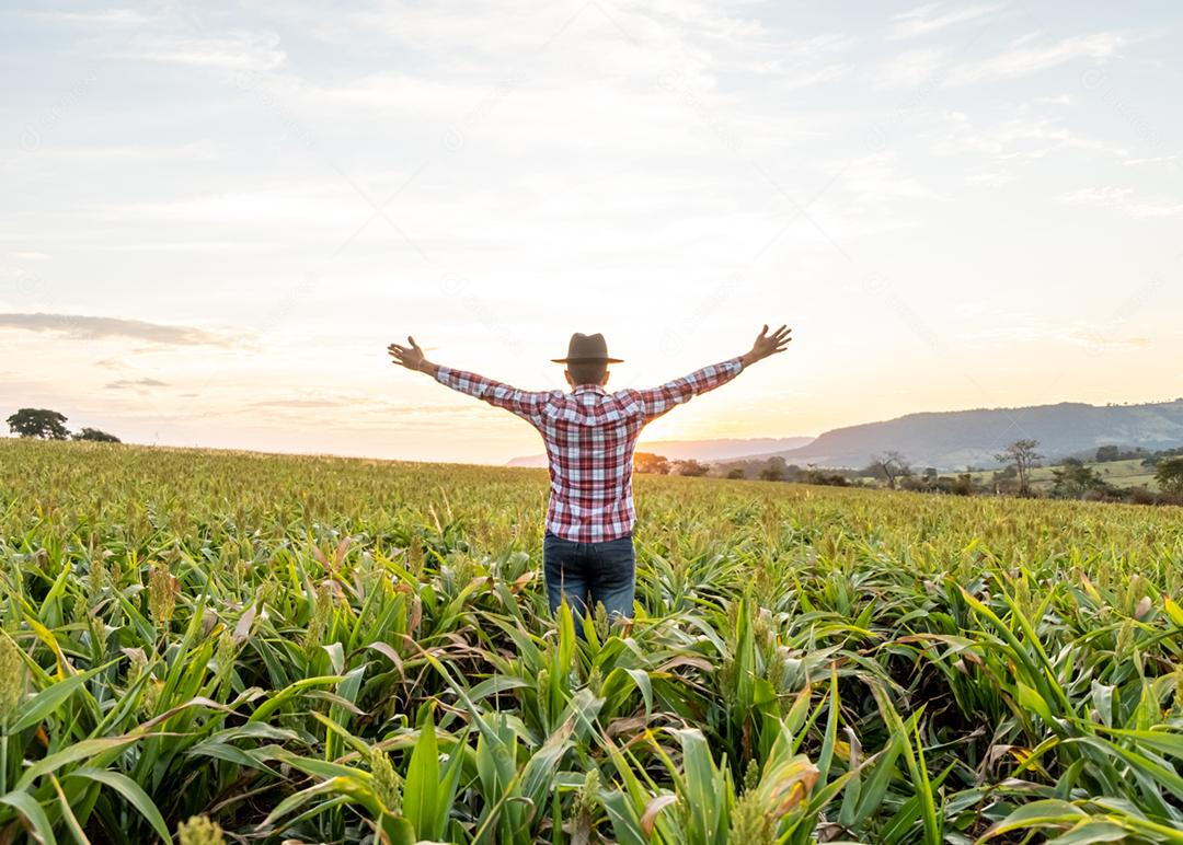 Liberdade o agricultor brasileiro fica na fazenda verde com gratidão.