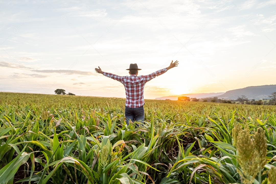 Liberdade o agricultor brasileiro fica na fazenda verde com gratidão.