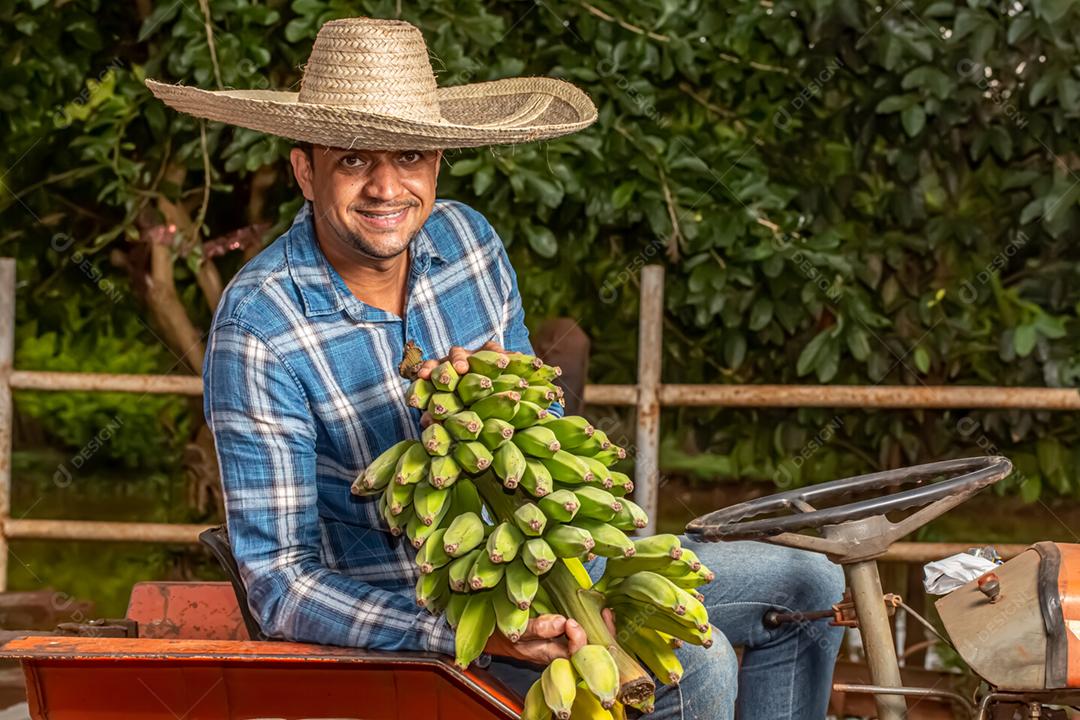 Homem agricultor trabalhador situado trator segurando nas mãos a colheita de bananas verdes