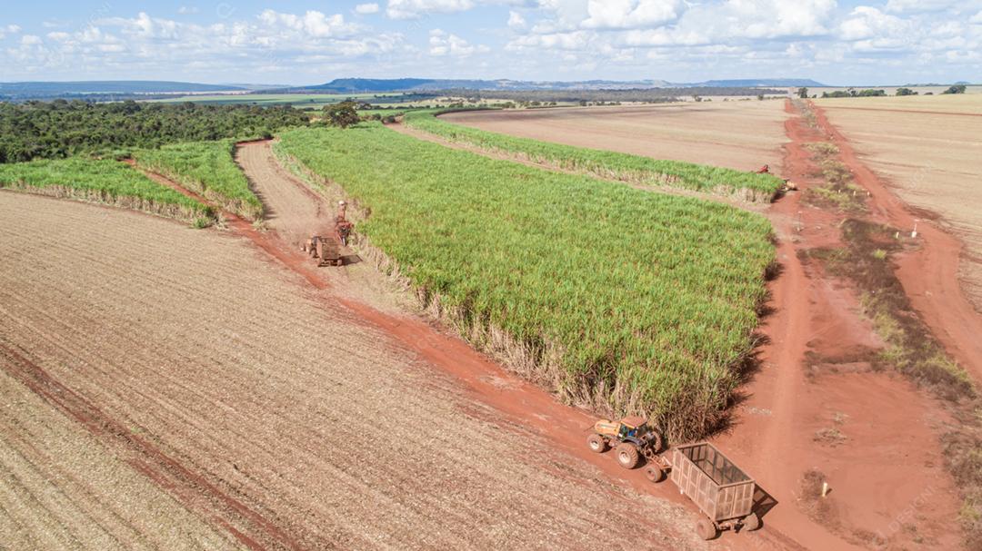 Colheita de cana-de-açúcar em dia ensolarado no Brasil. Vista aérea.