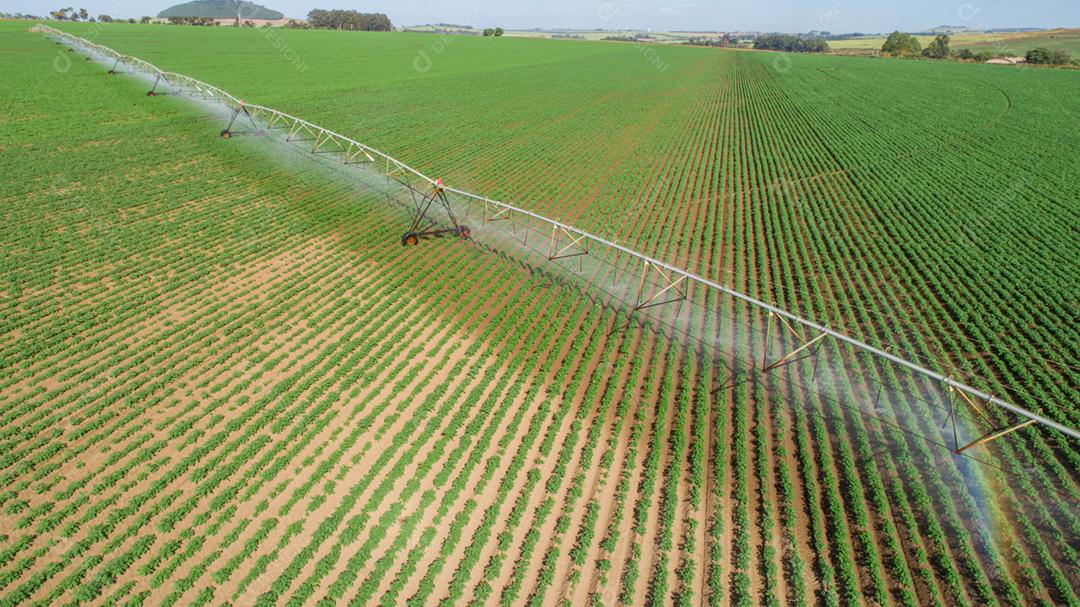 Sistema irrigação agrícola dia ensolarado verão. Uma vista aérea de um sistema de sprinklers