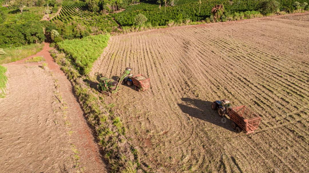 Colheita de cana-de-açúcar em dia ensolarado no Brasil. Vista aérea.