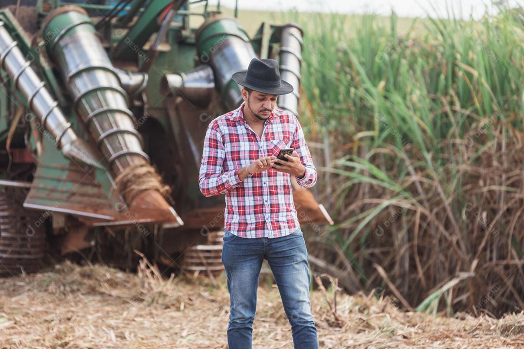 Empresário rural verificando trabalho smartphone. Máquina colhedora cana-de-açúcar. Agricultor.