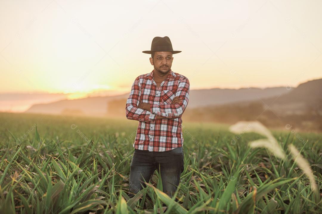 Empresário com um tablet verifica as espigas de milho. Conceito de negócio agrícola.