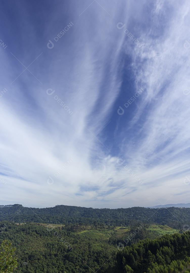 Nuvens cirros e céu azul sobre uma floresta no Brasil.