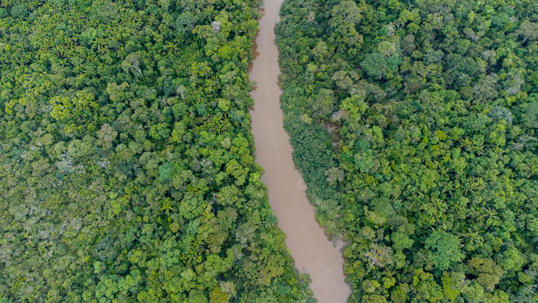 Vista aérea da floresta amazônica no Brasil, América do Sul. Floresta verde. Vista aérea.