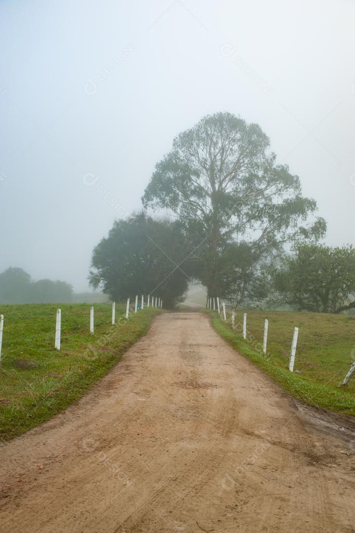 Paisagem estrada neblina fazenda dia ensolarado