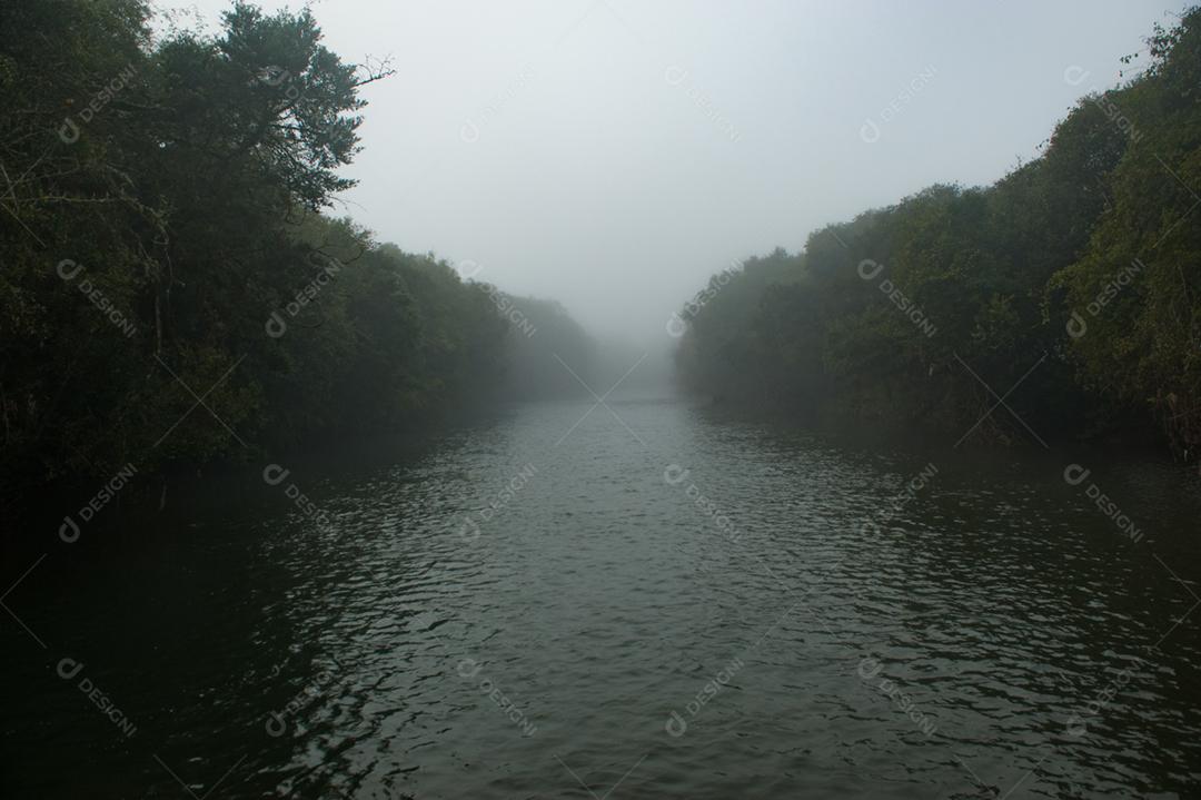 Paisagem lago floresta neblina