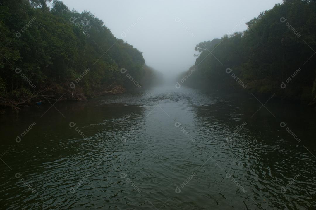 Paisagem lago floresta neblina