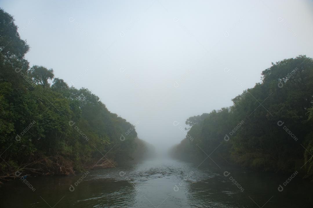 Paisagem lago floresta neblina