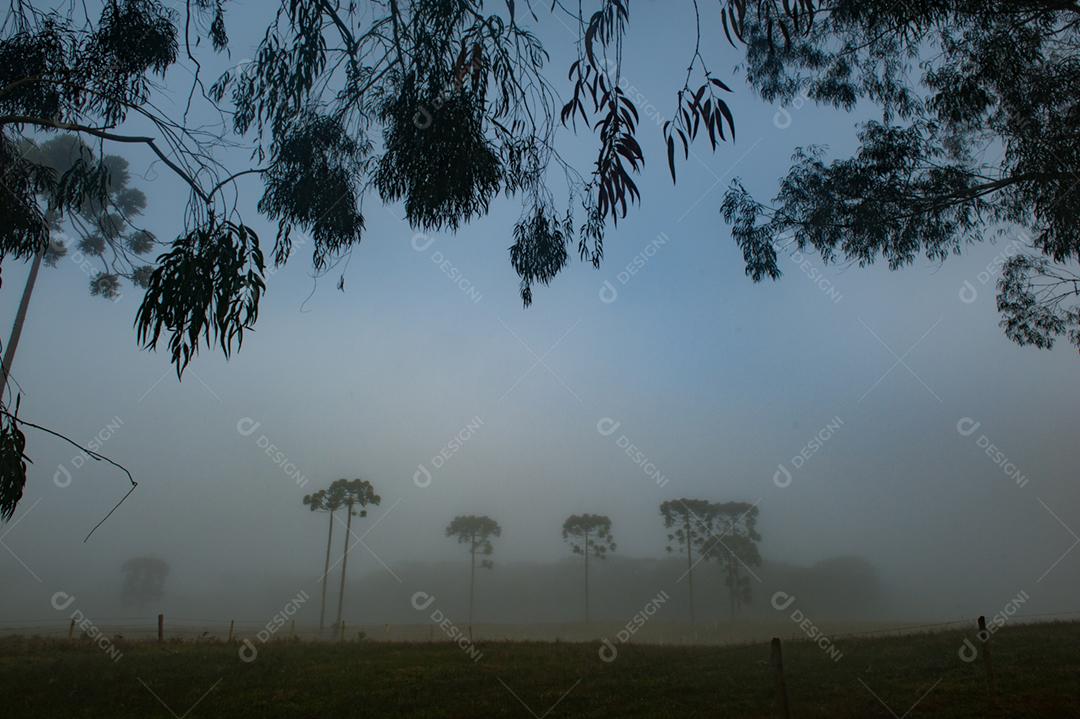 Paisagem estrada neblina fazenda dia ensolarado
