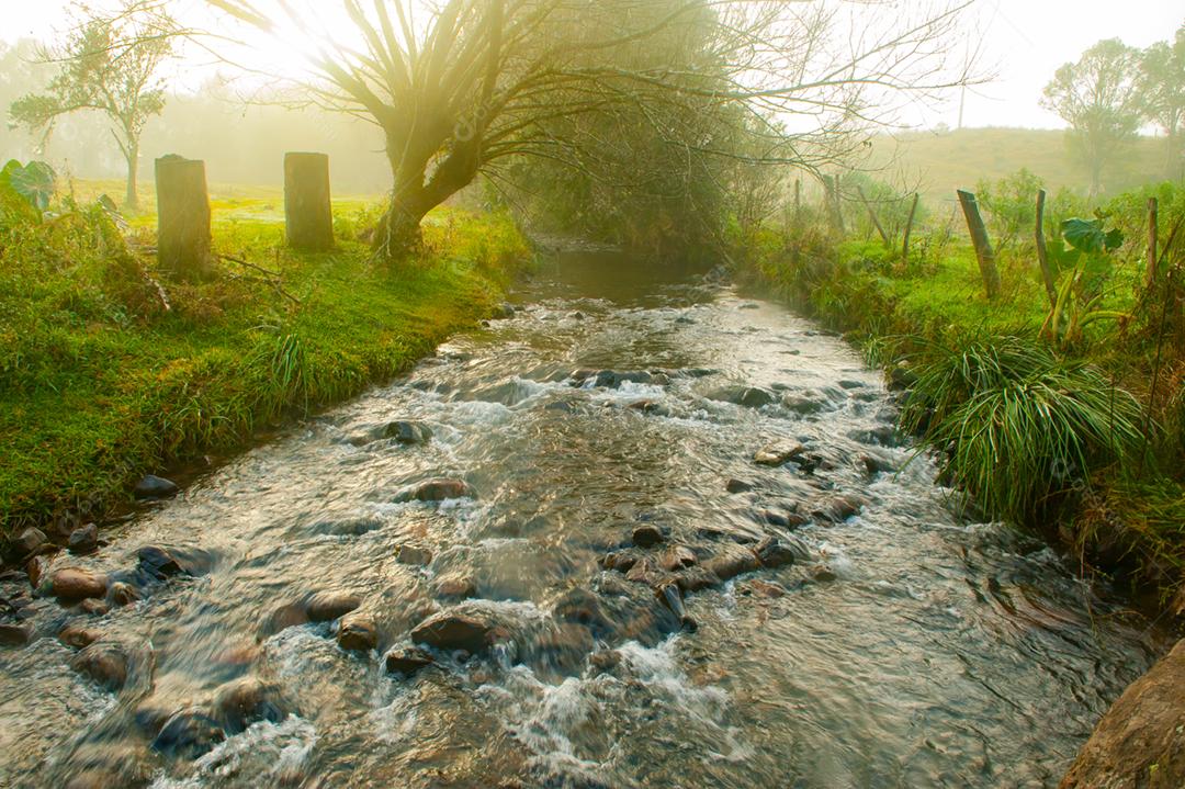 Paisagem lago por do sol floresta