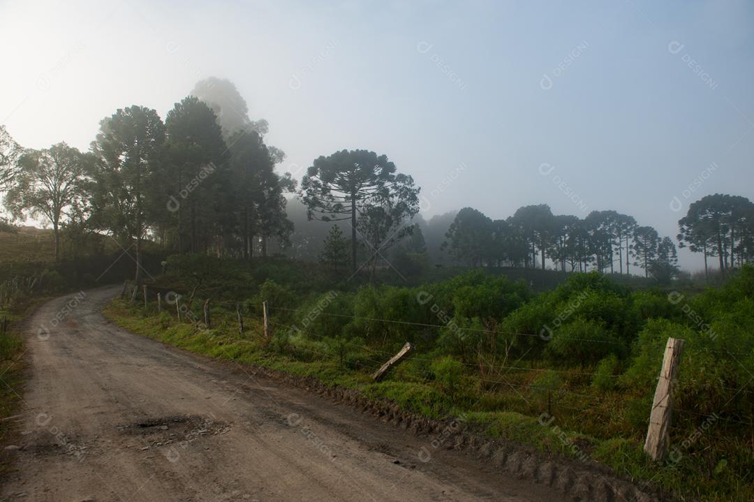 Paisagem estrada neblina fazenda dia ensolarado