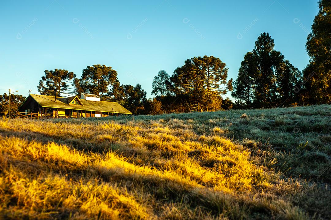 Paisagem fazenda floresta arvores