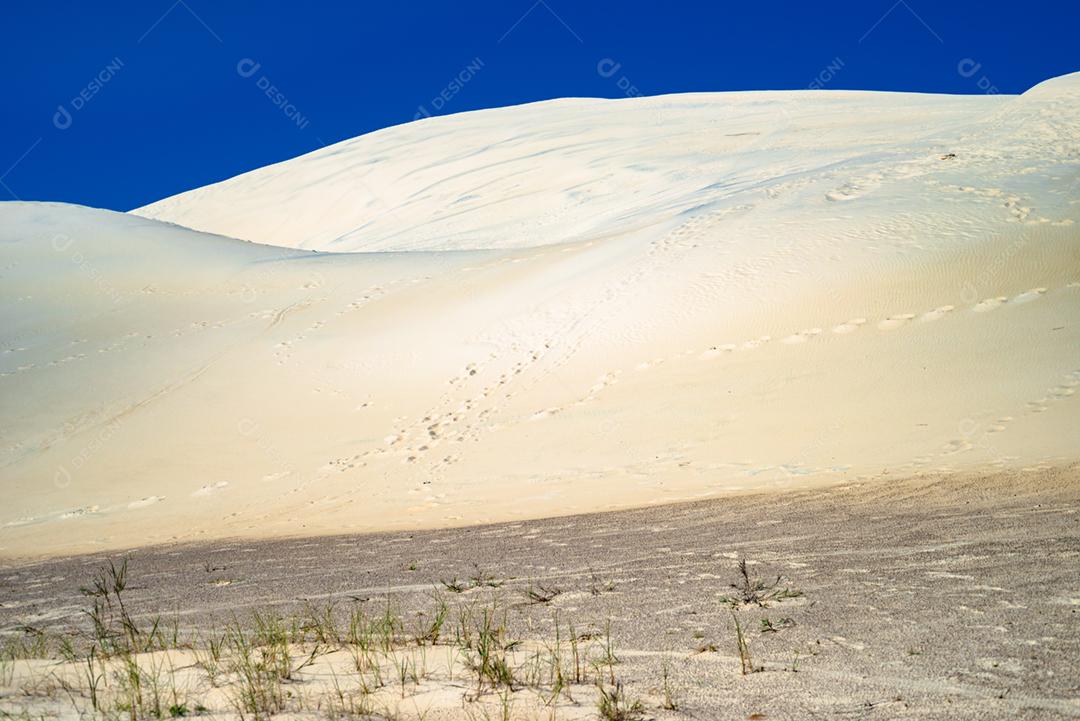 Paisagem matos areia sobre céu azul