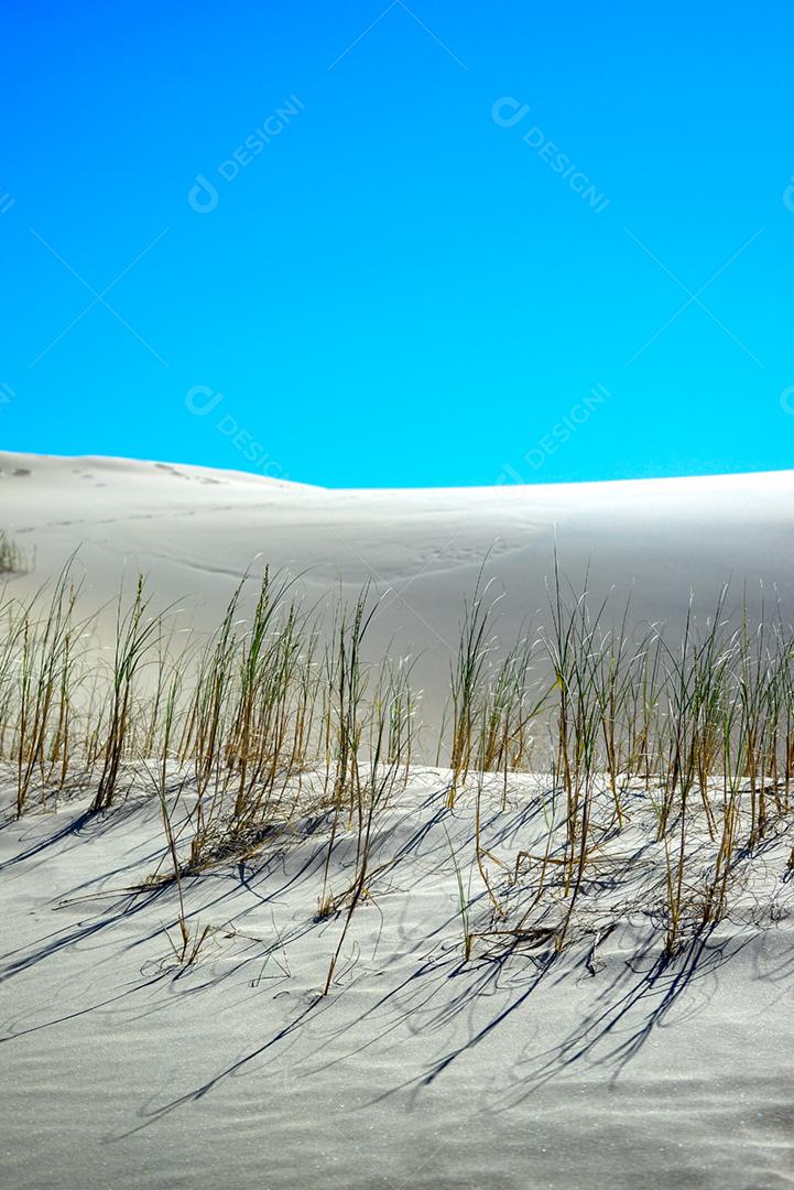 Paisagem matos areia sobre céu azul