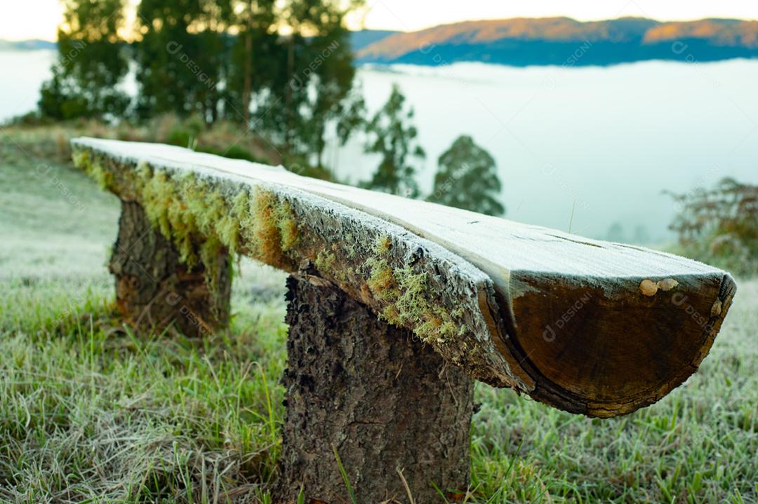 Tronco sobrea grama floresta lago arvore g