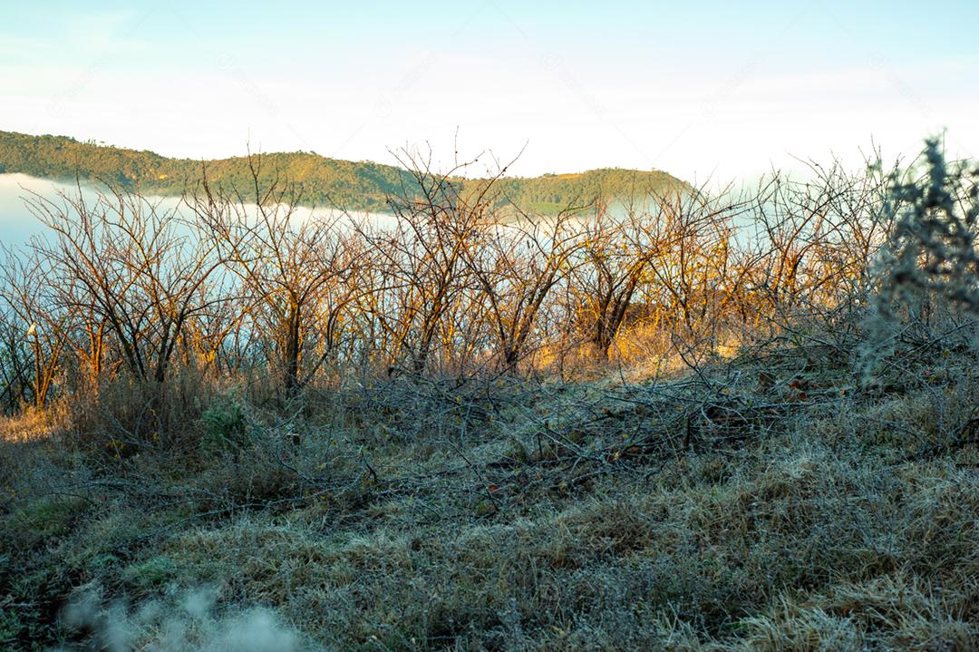 Paisagem floresta matos lago céu limpo arvores