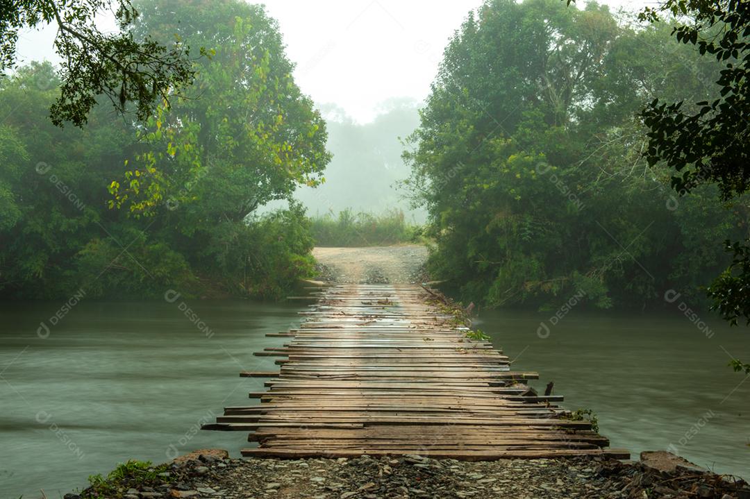 Paisagem floresta matos lago céu limpo arvores