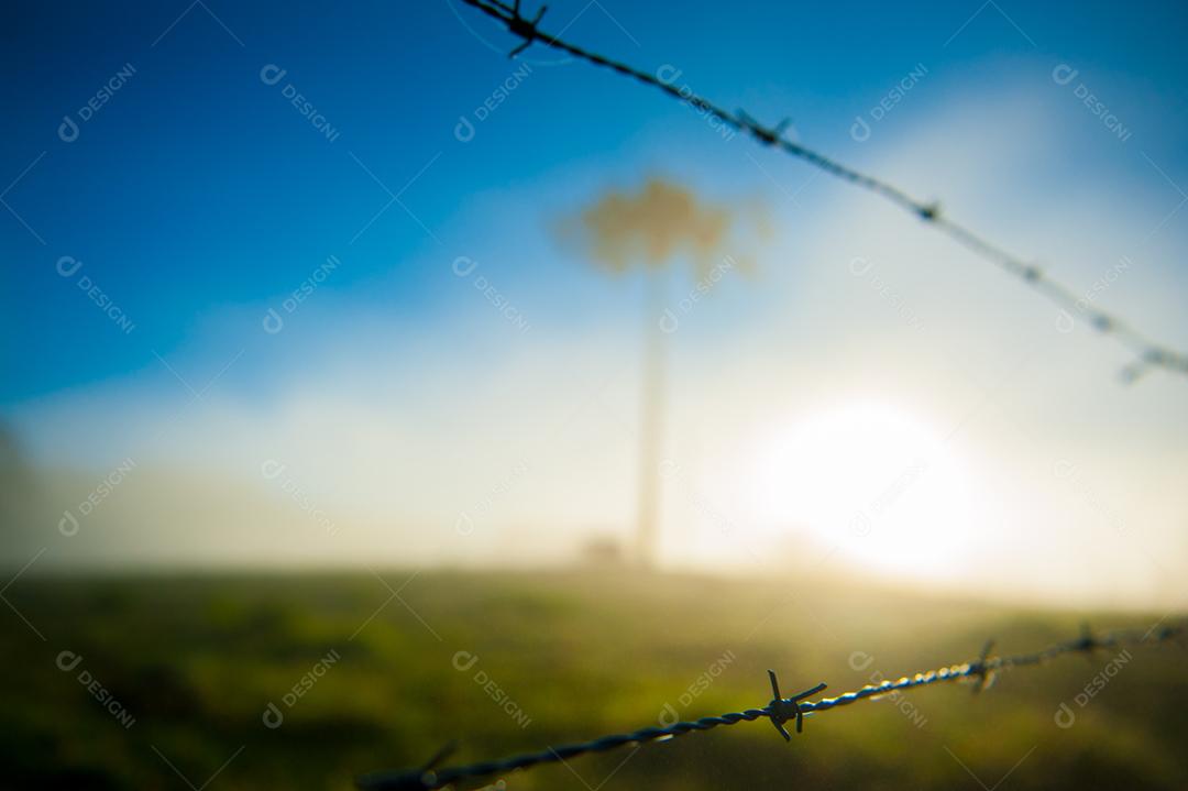 Arame farpado fazenda por do sol céu azul
