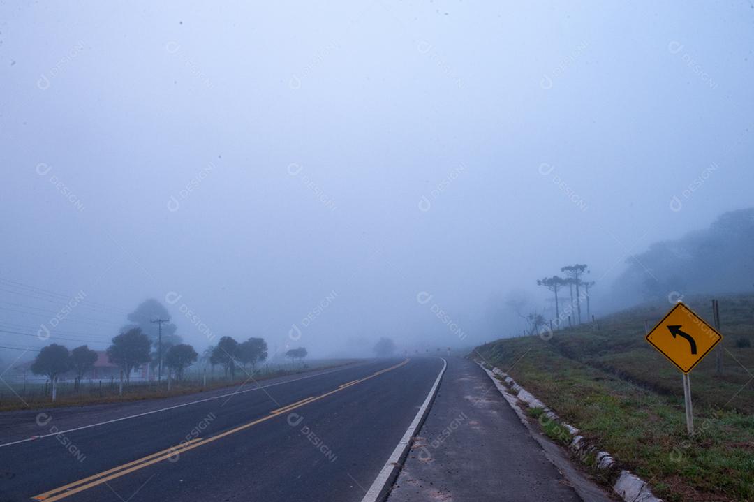 Paisagem rua cheia de neblina placa estrada matos