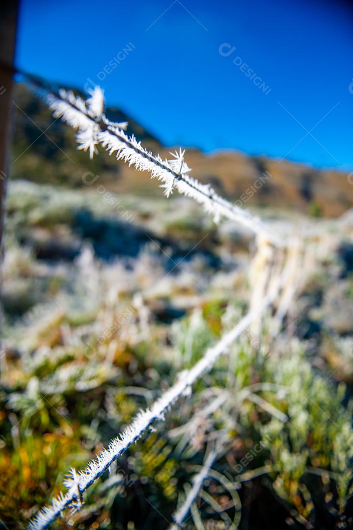 Arame farpado fazenda por do sol céu azul