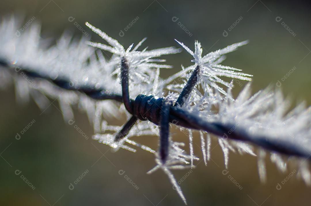 Arame farpado fazenda por do sol céu azul